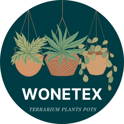 Wonetex